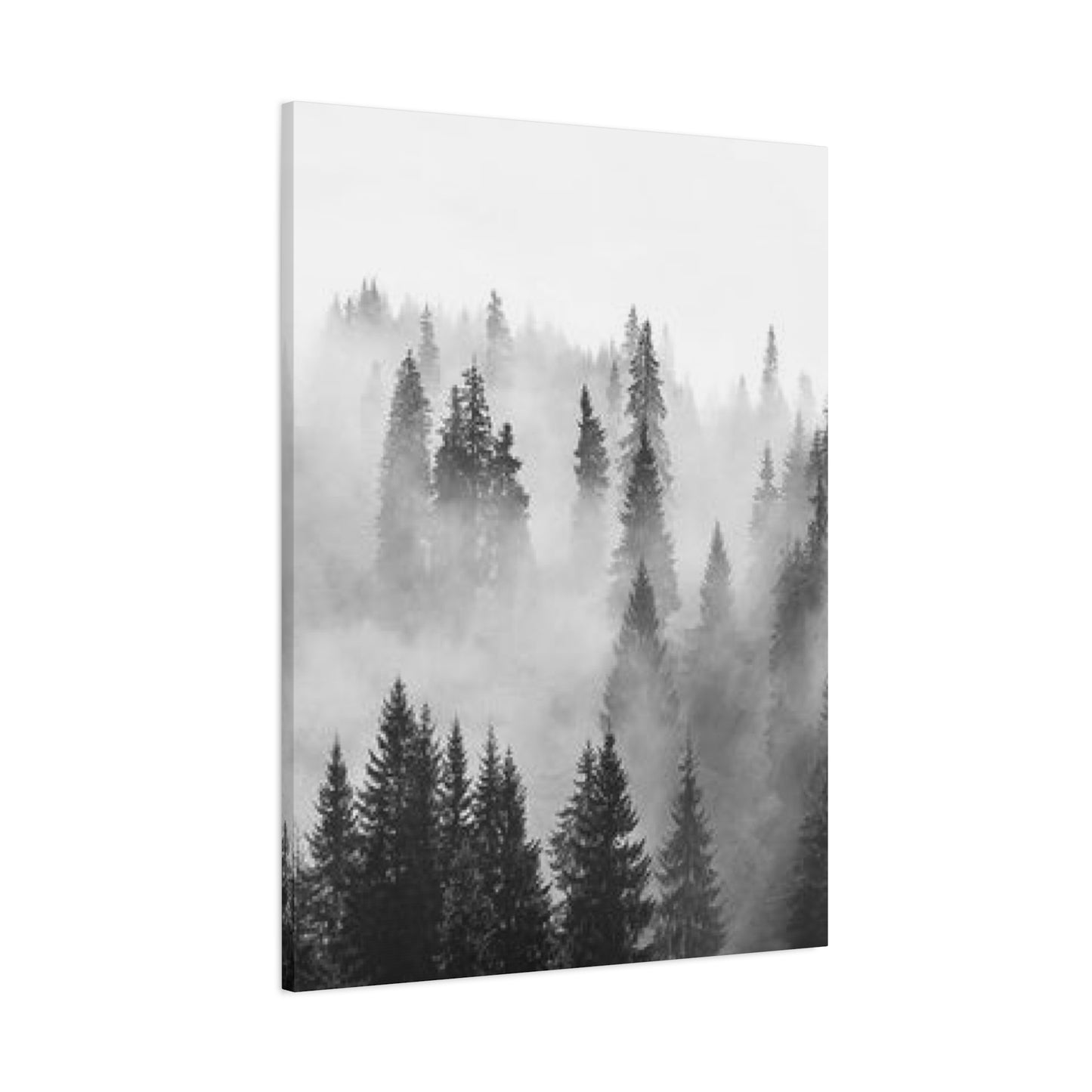 Black & White Fog Forest Fine Wall Art & Canvas Prints