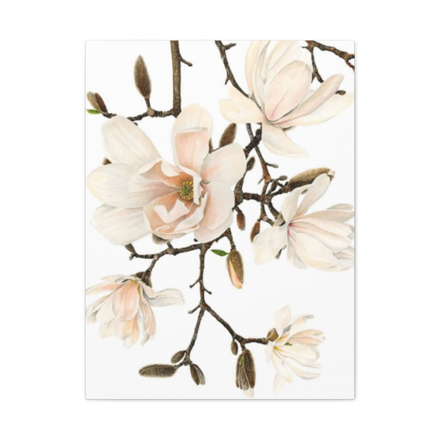 Pink Magnolia Flower Painting Wall Art & Canvas Prints