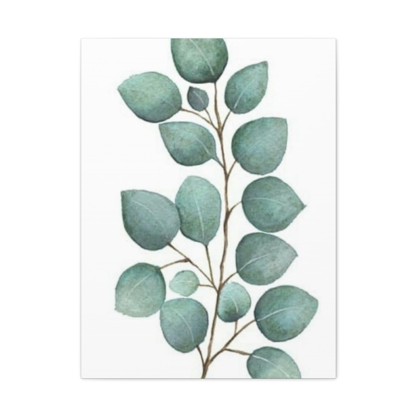 Eucalyptus Stem Wall Art & Canvas Prints