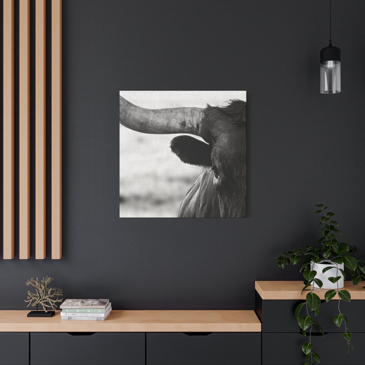 Close Up Of Long Horn Wall Art & Canvas Prints