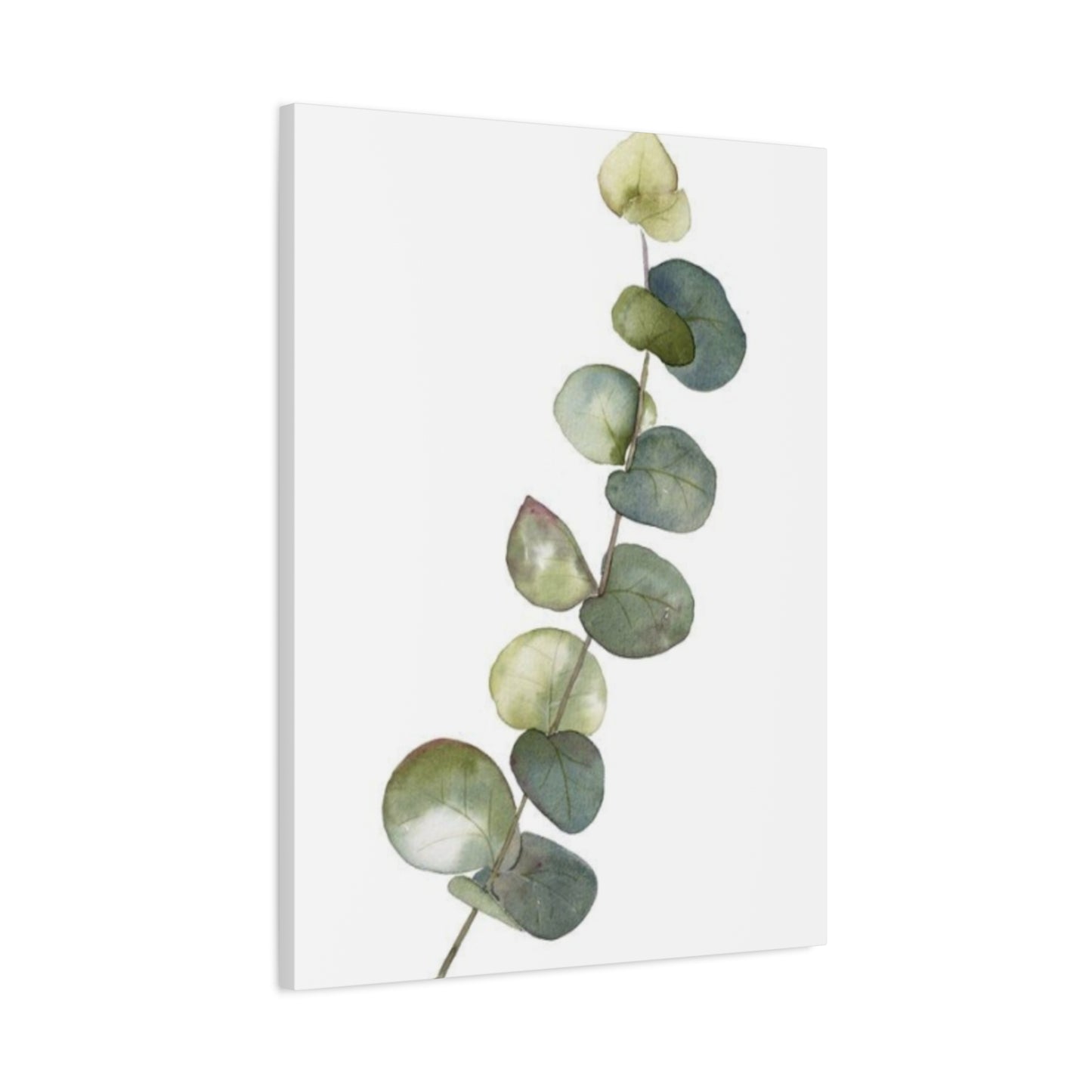 Eucalyptus Stem Wall Art & Canvas Prints