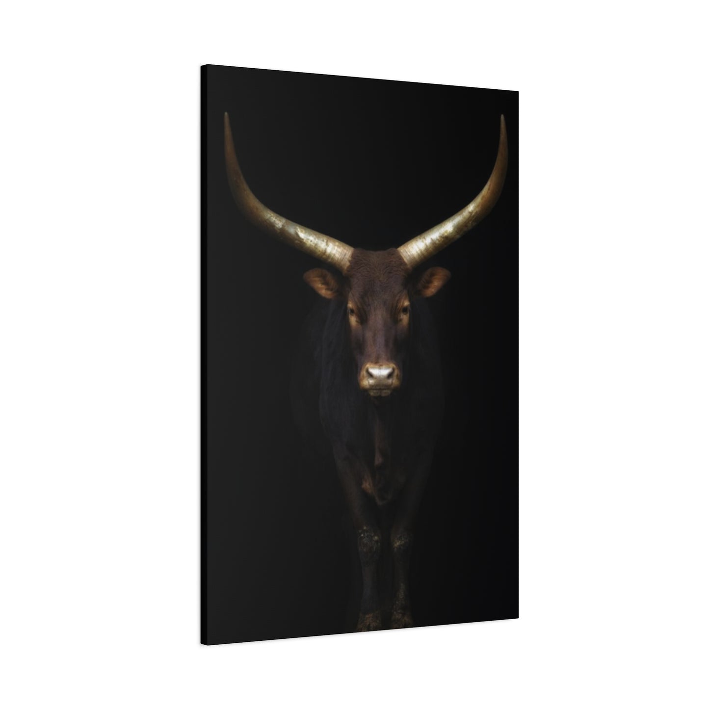 Wild Black Buffalo Longhorn Photos Wall Art & Canvas Prints