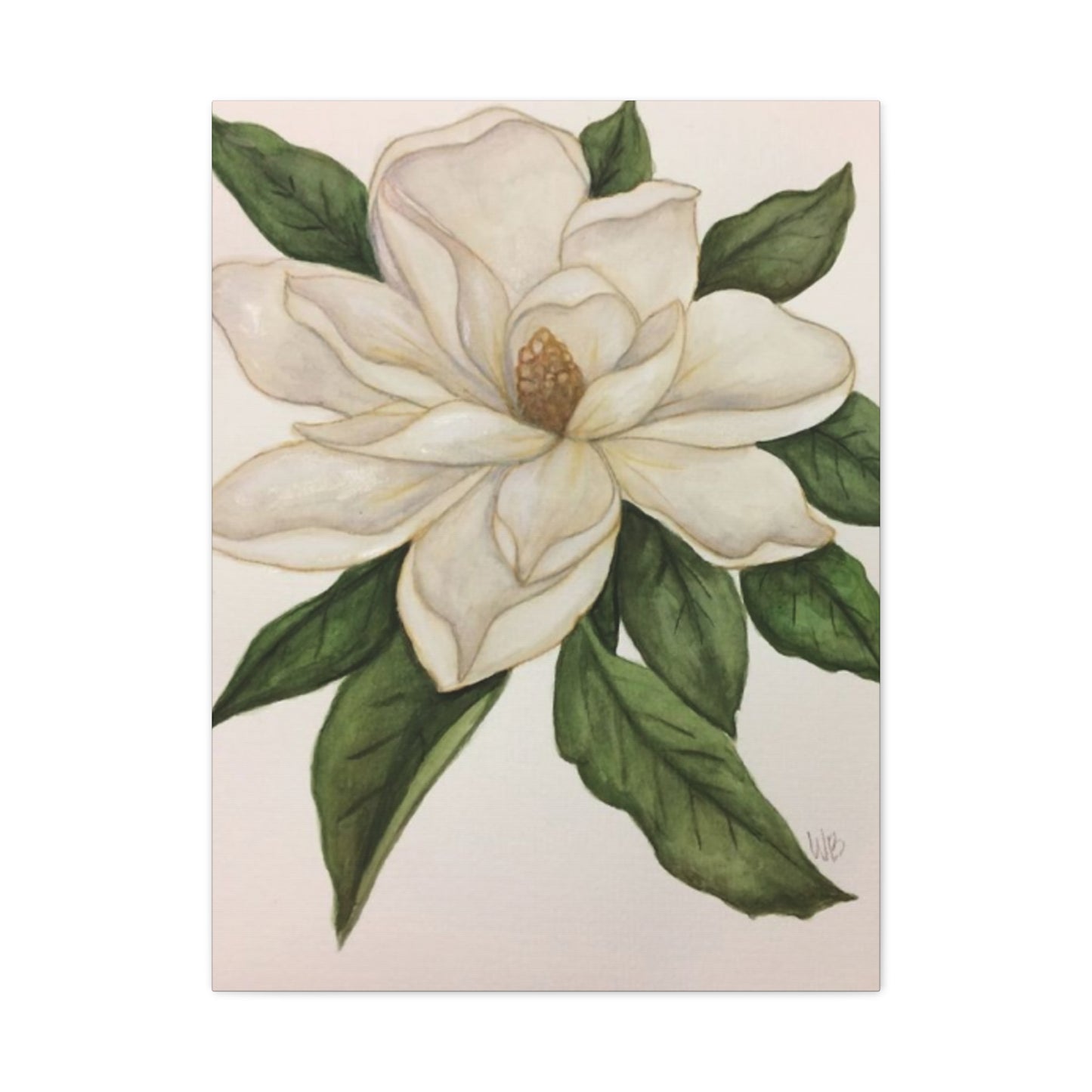 Beautiful White Magnolia Flower Drawing Wall Art & Canvas Prints