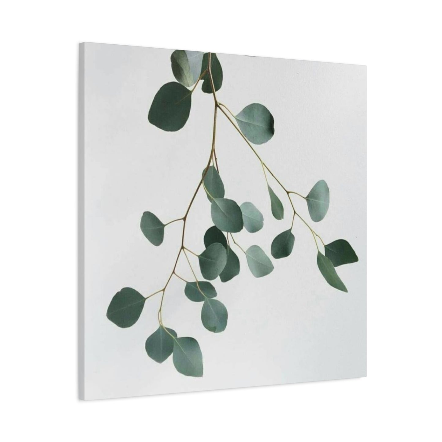 Falling Eucalyptus Plant Wall Art & Canvas Prints