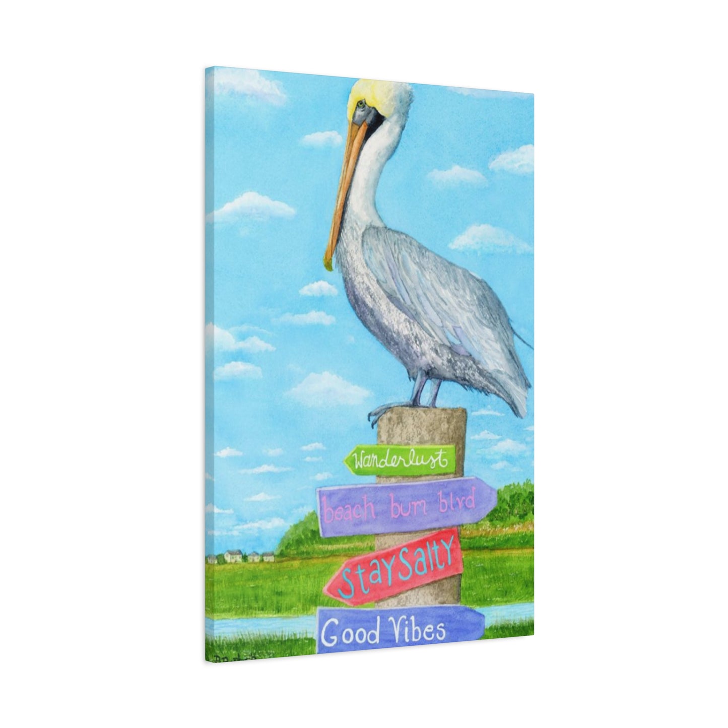 Long Beak Pelican Colorful Drawing Wall Art & Canvas Prints