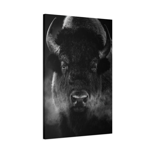 Bison Wall Art & Canvas Prints