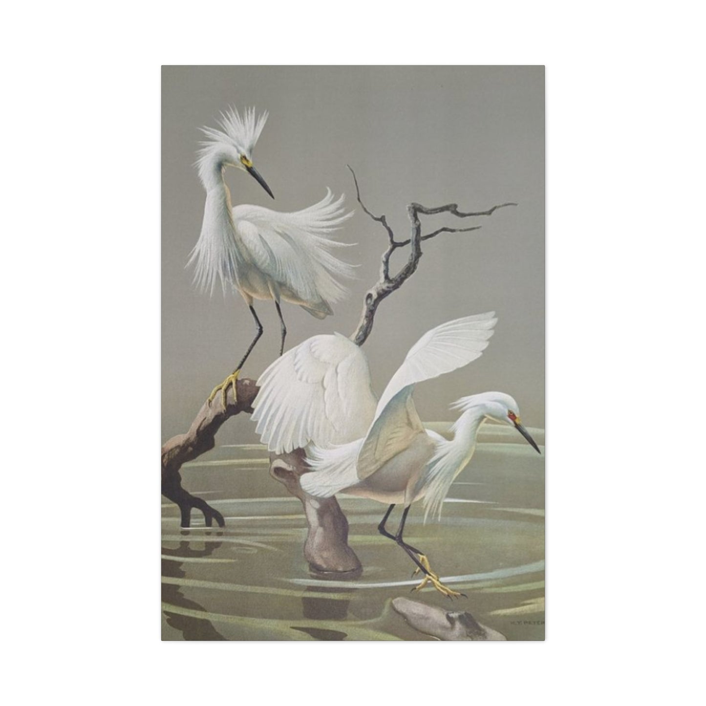 Beautiful Herons Photography Wall Art & Canvas Prints