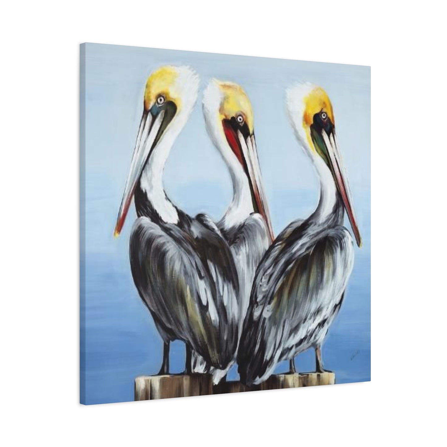 Three Pelican Family Poster Wall Art & Canvas Prints