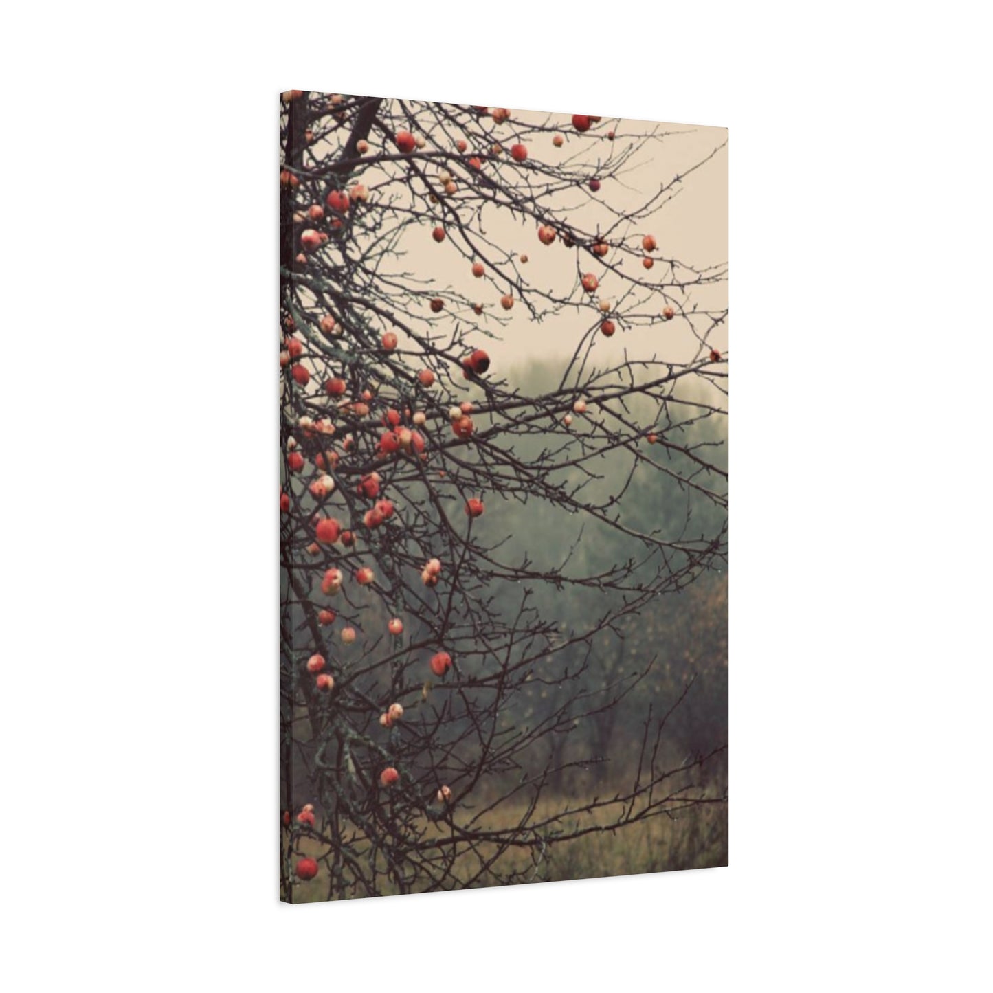 Fruit Tree Fine Wall Art & Canvas Prints