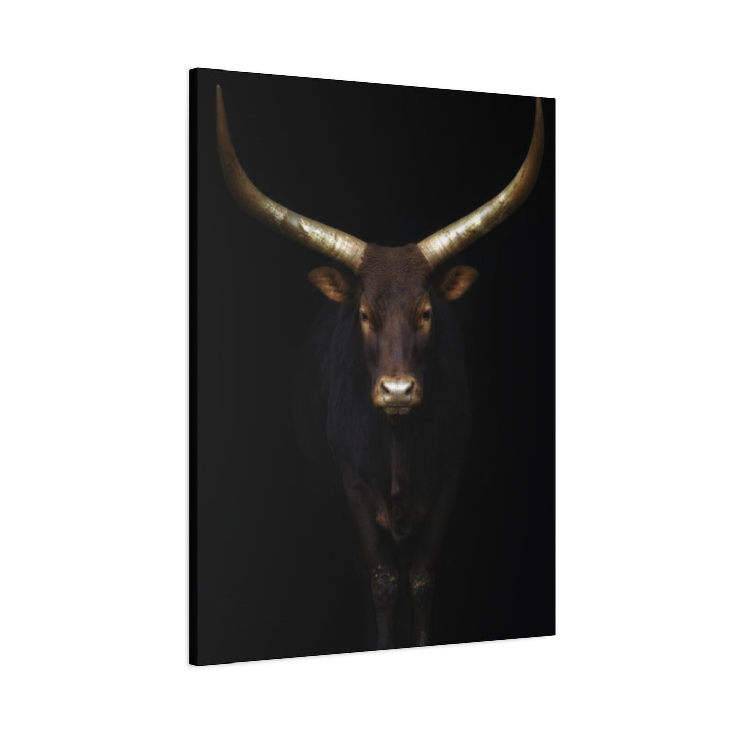 Wild Black Buffalo Longhorn Photos Wall Art & Canvas Prints