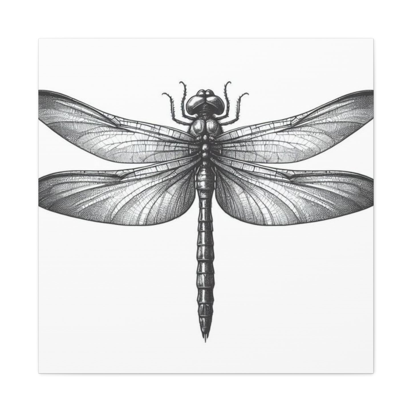 Top of Black Dragonfly Wall Art & Canvas Prints