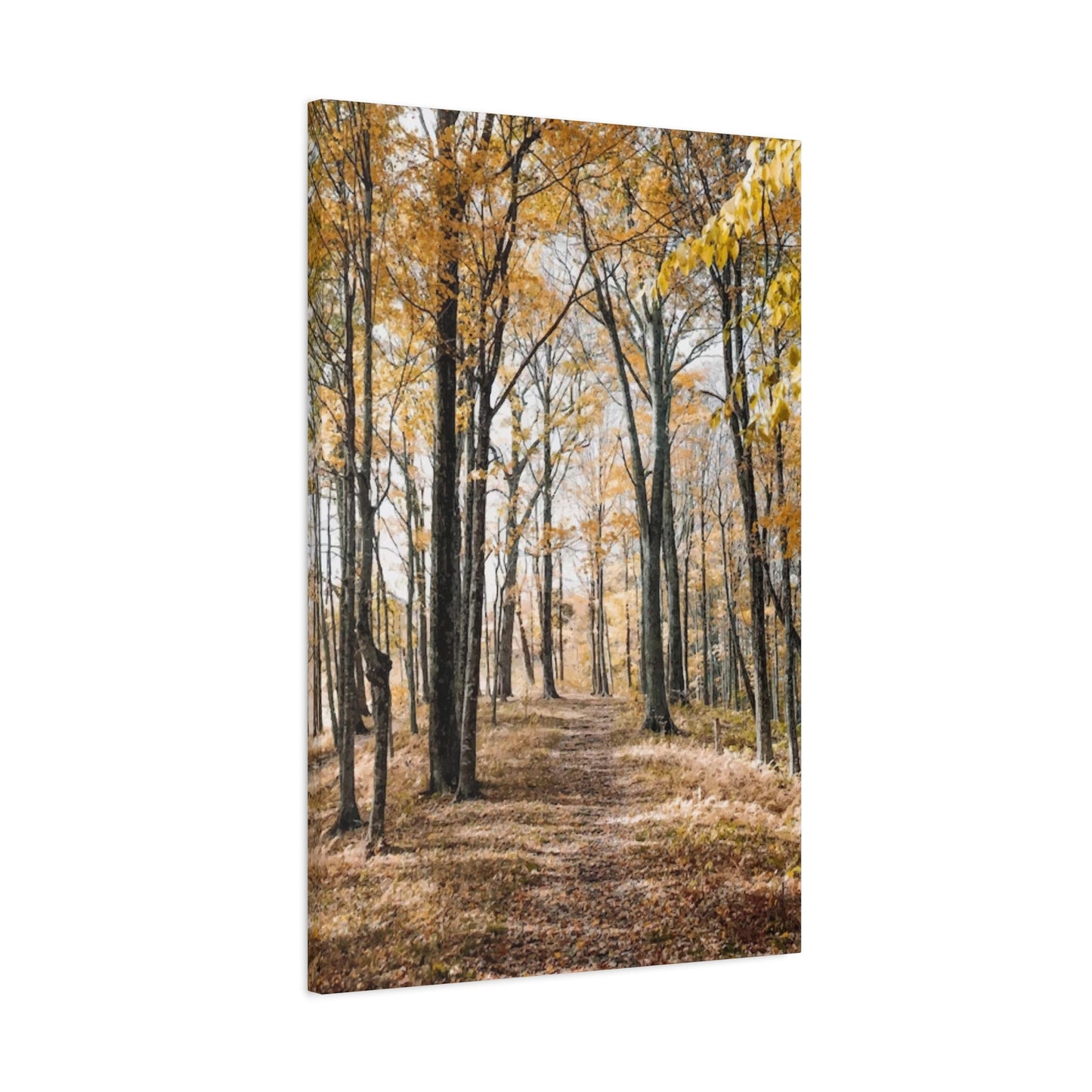 Fall Wall Art & Canvas Prints