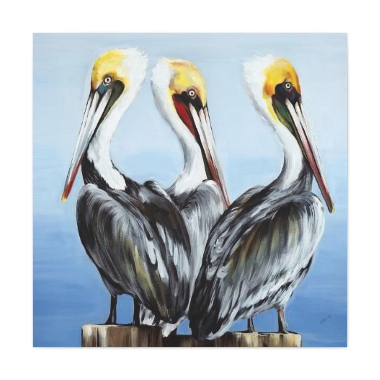 Three Pelican Family Poster Wall Art & Canvas Prints