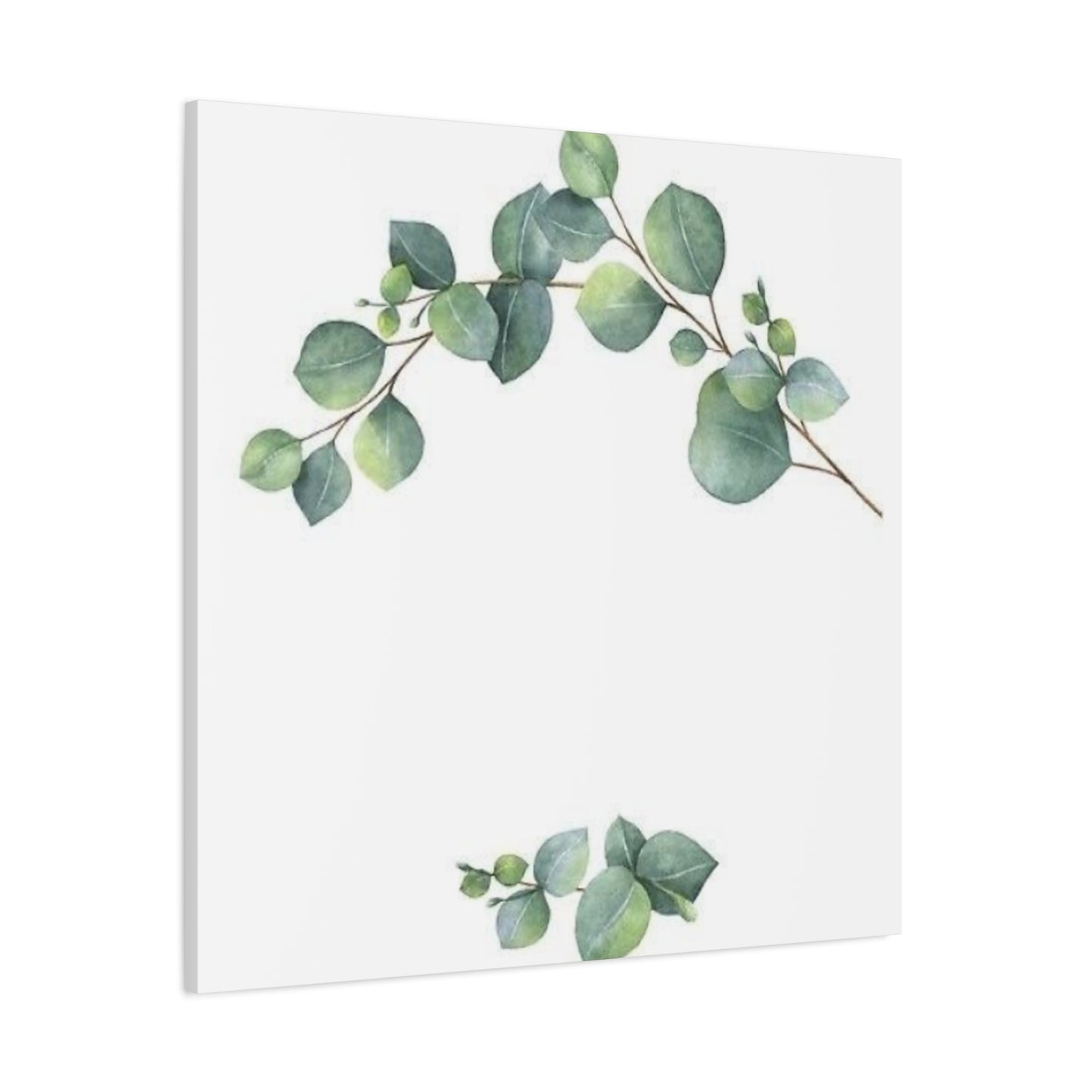 Eucalyptus Plant Wall Art & Canvas Prints