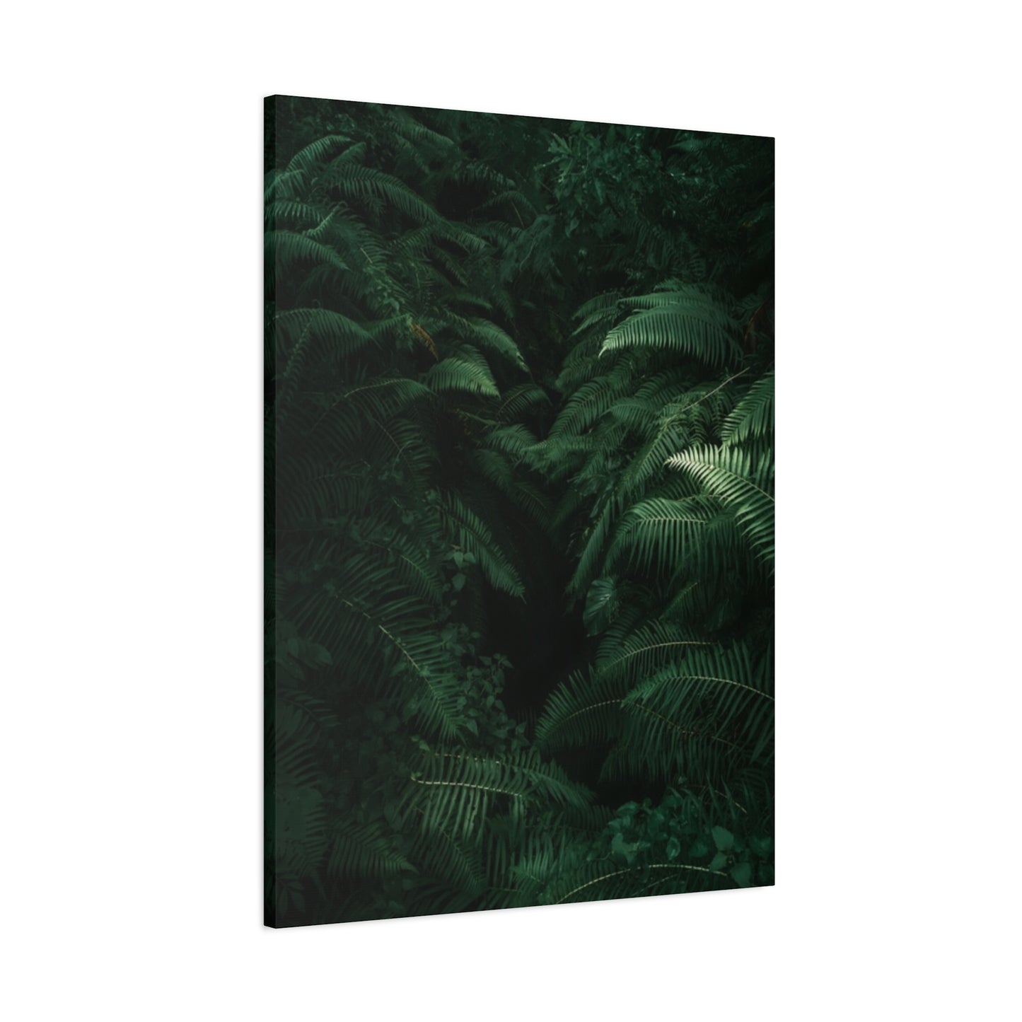 Tropical Forest Wall Art & Canvas Prints