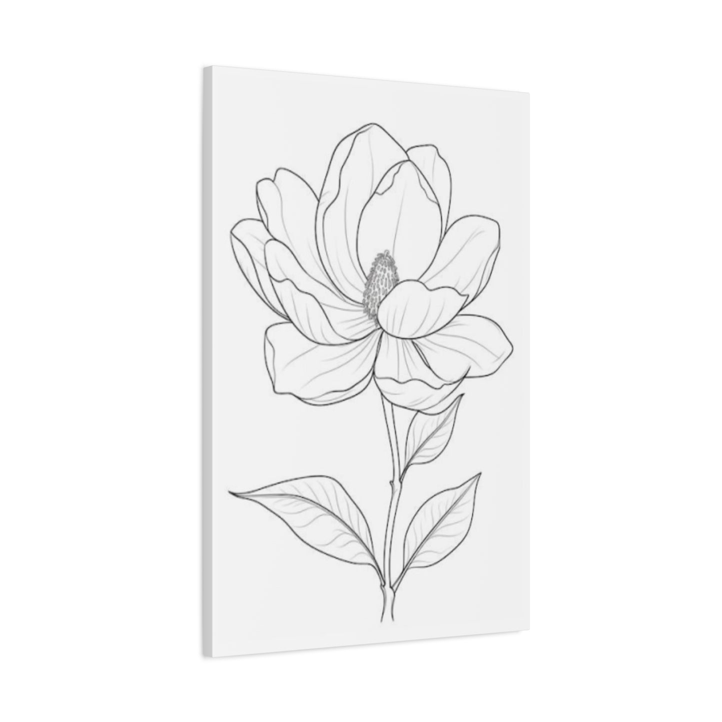 Beautiful Magnolia Flower Sketch Wall Art & Canvas Prints