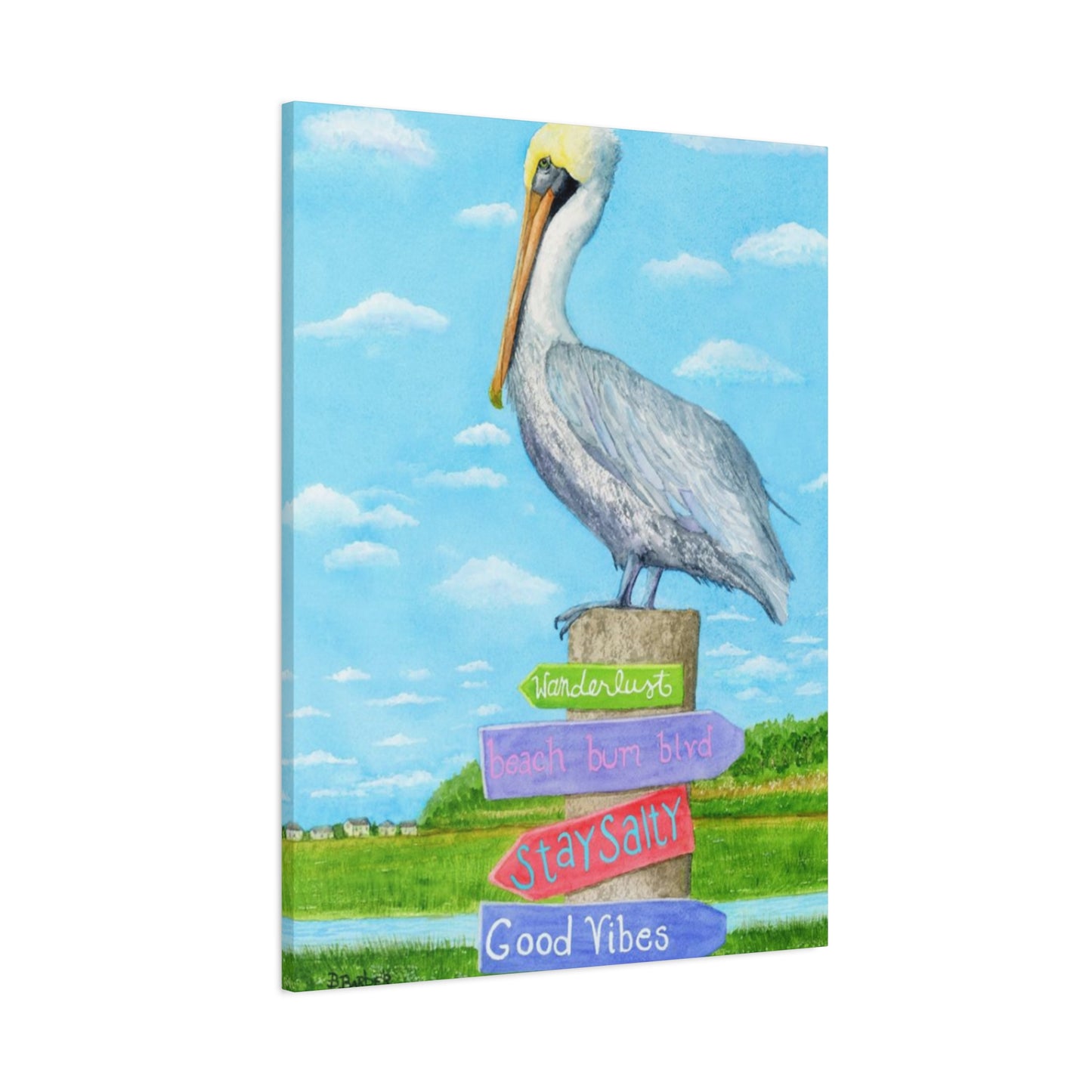 Long Beak Pelican Colorful Drawing Wall Art & Canvas Prints