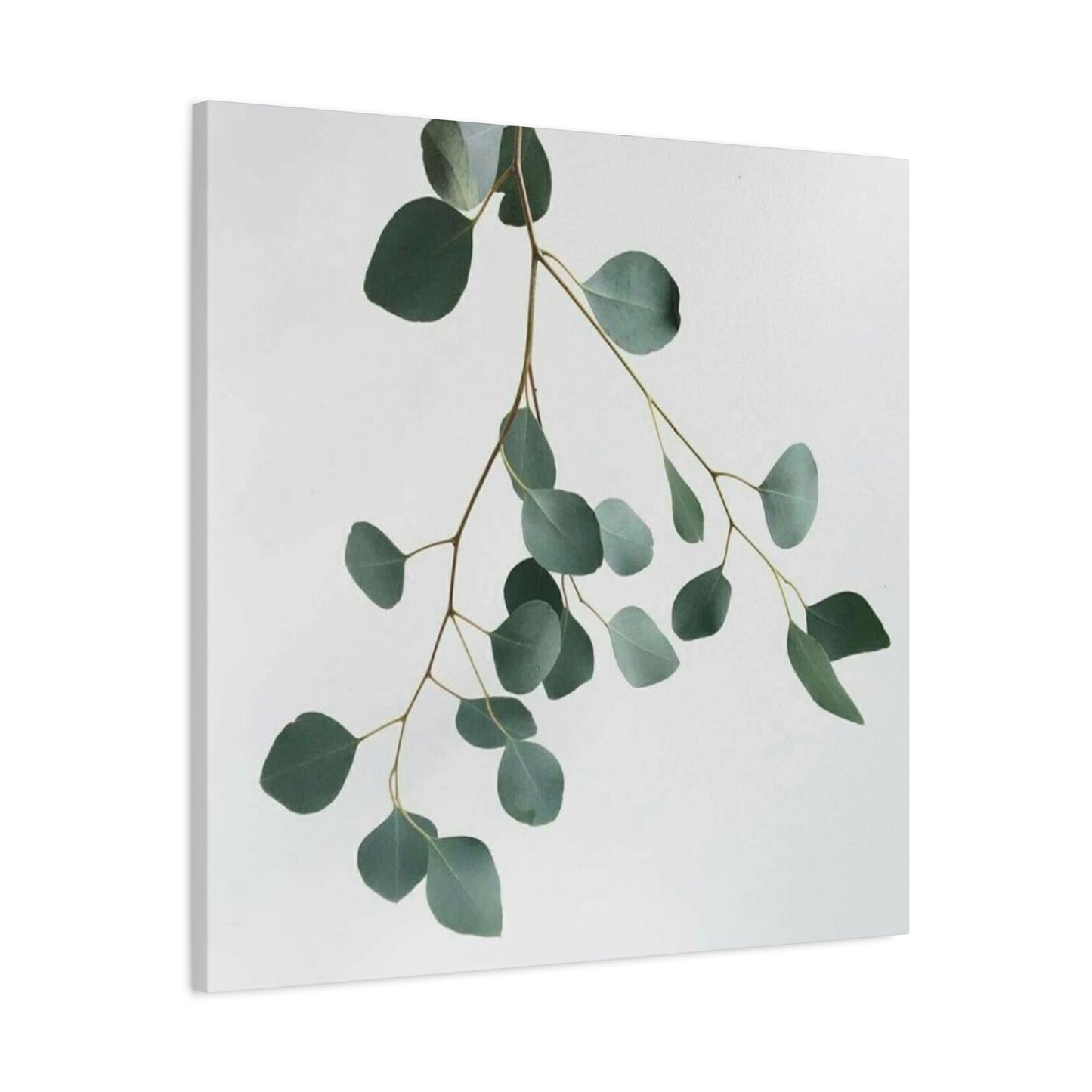 Falling Eucalyptus Plant Wall Art & Canvas Prints