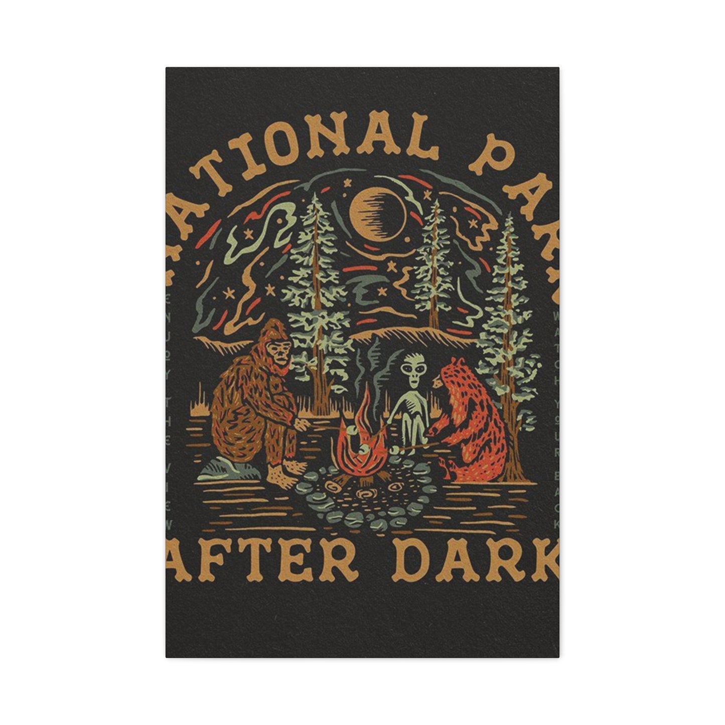 National Park After Dark Wall Art & Canvas Prints