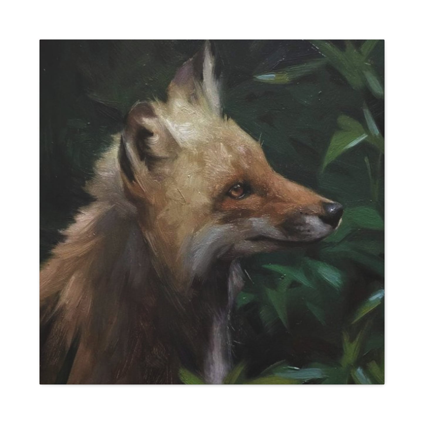 Little Baby Fox Wall Art & Canvas Prints