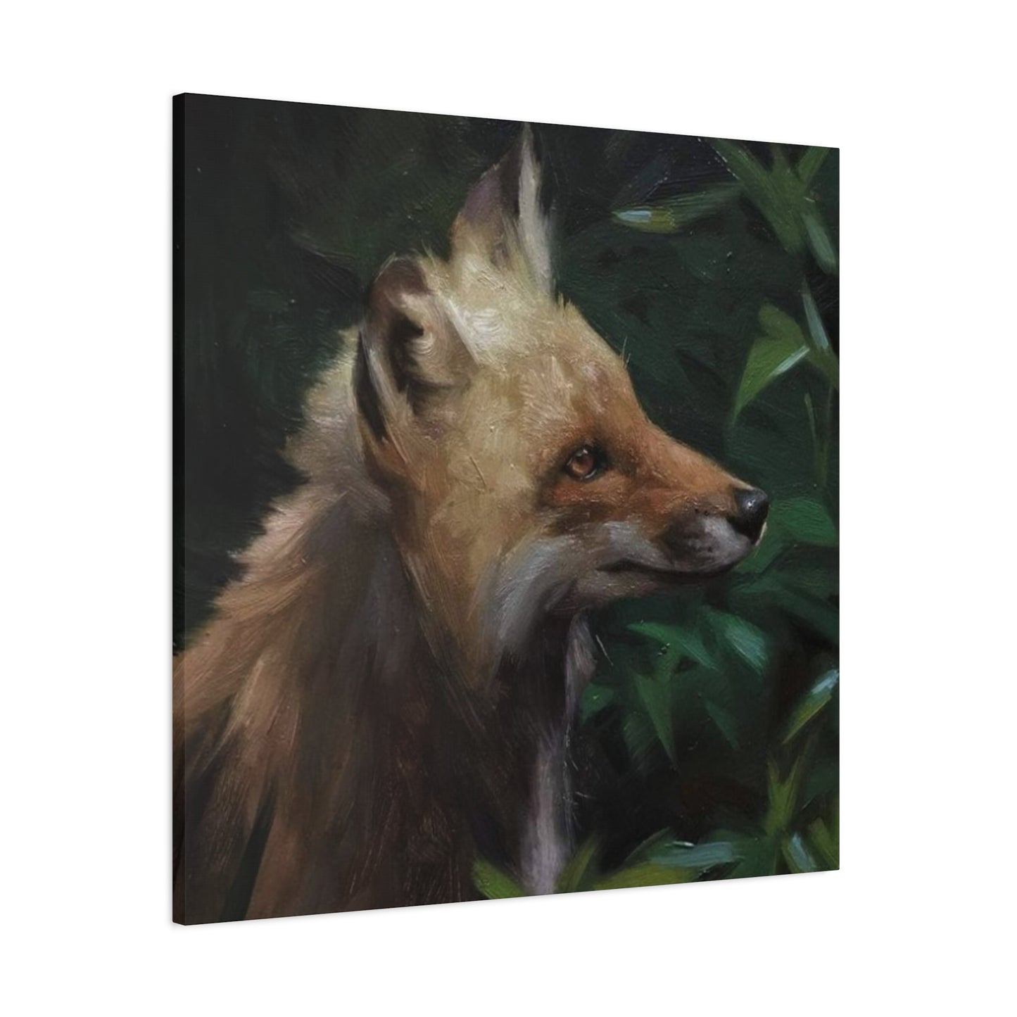 Little Baby Fox Wall Art & Canvas Prints