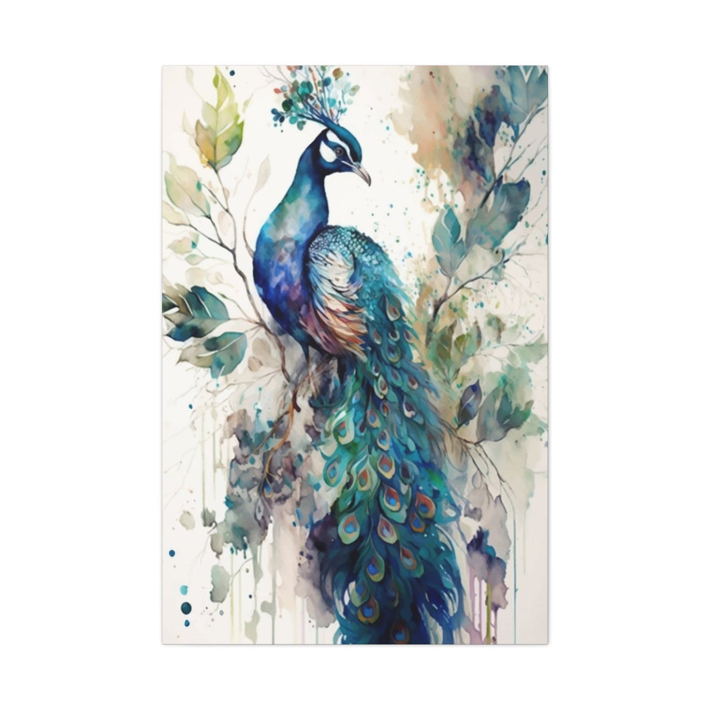 Peacock on branch Wall Art & Canvas Prints