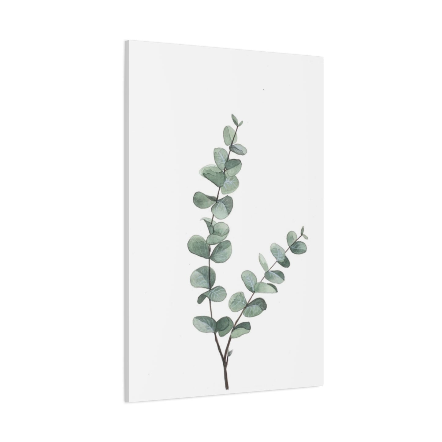 Eucalyptus Stem Wall Art & Canvas Prints