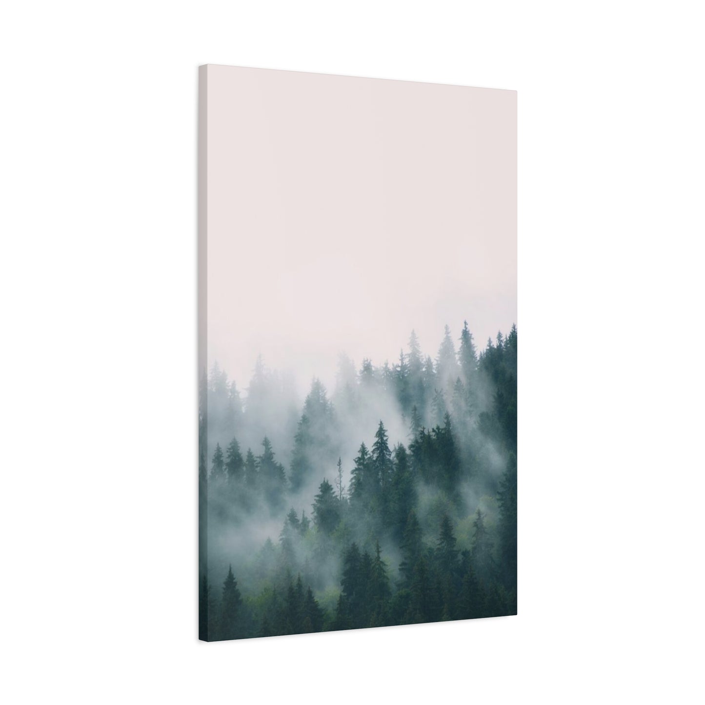 Pine Forest Wall Art & Canvas Prints