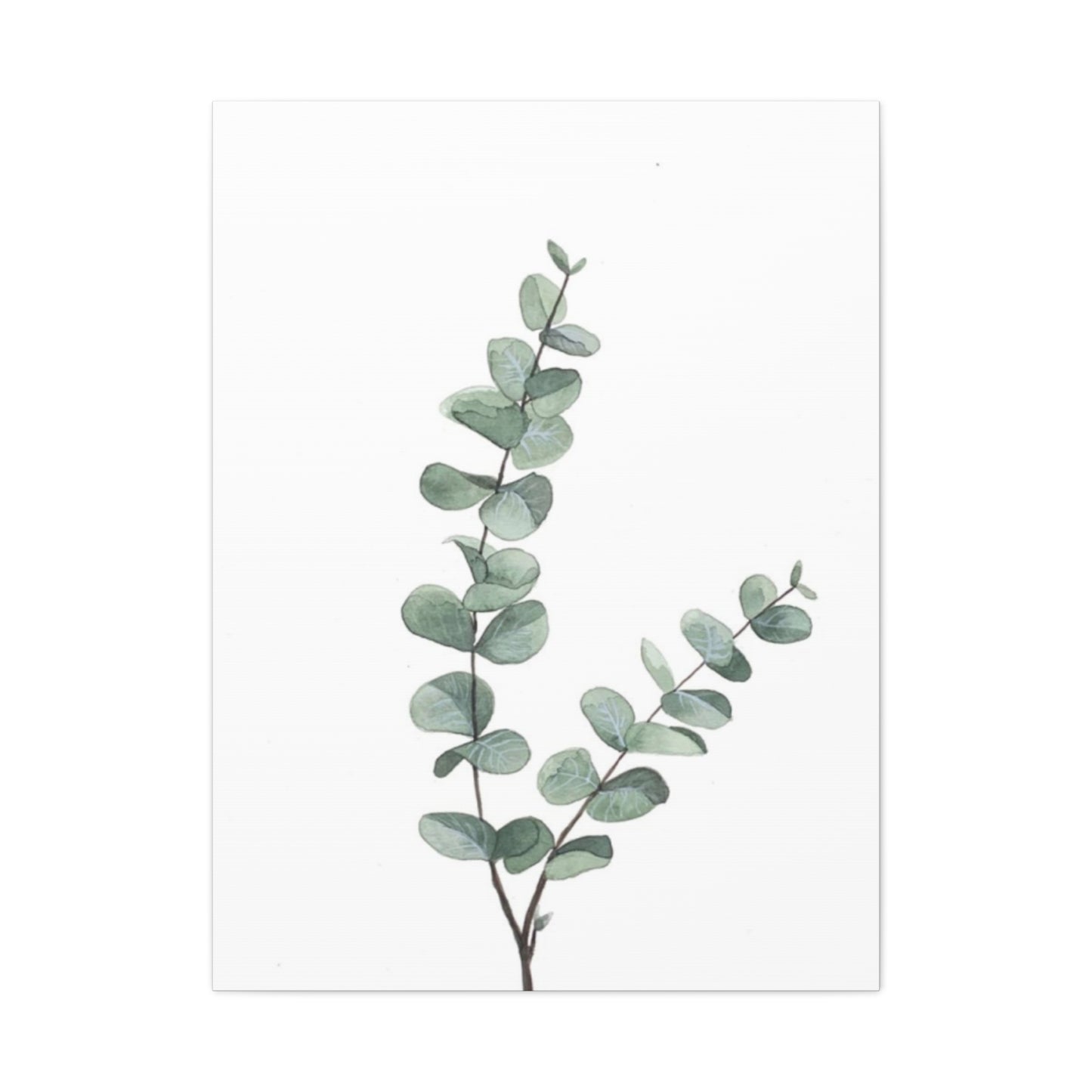 Two Eucalyptus Stem Wall Art & Canvas Prints