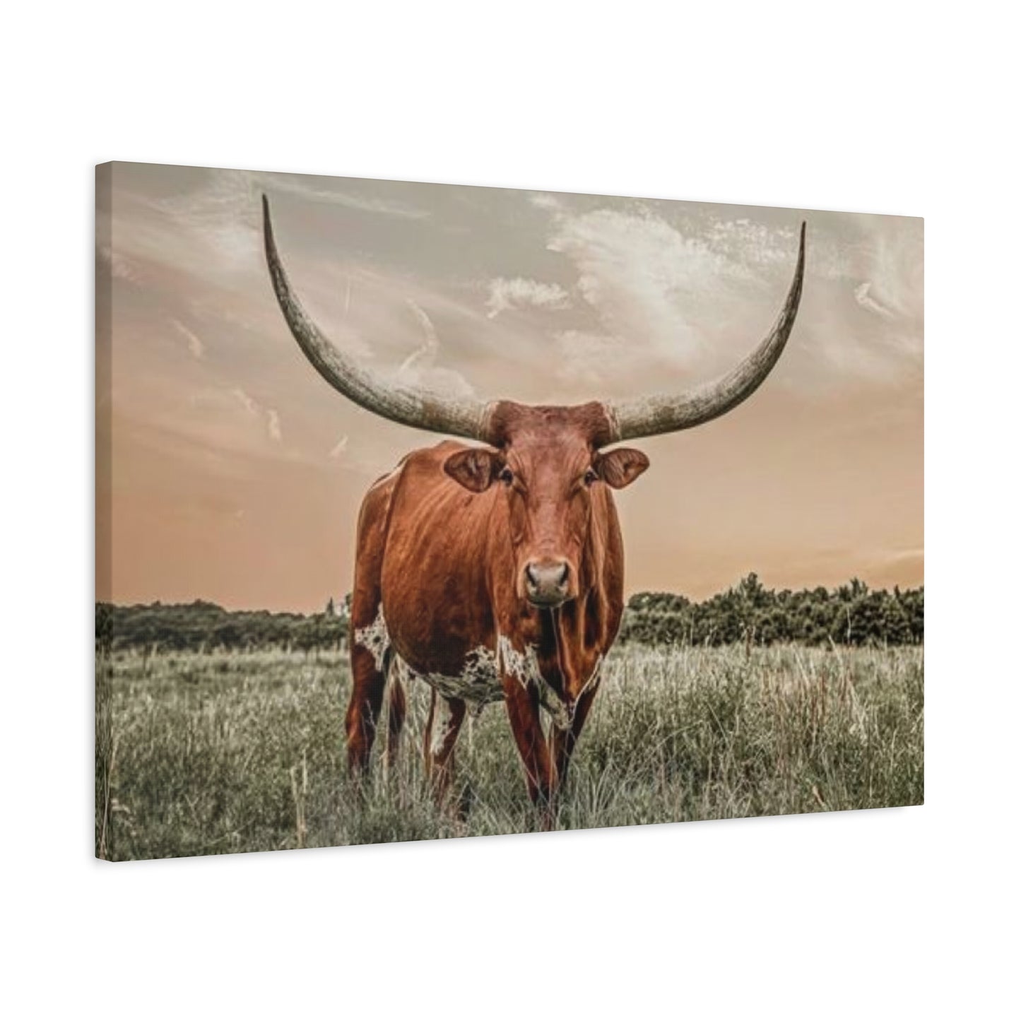 Hairy Buffalo U Shaped Long Horns Wall Art & Canvas Prints