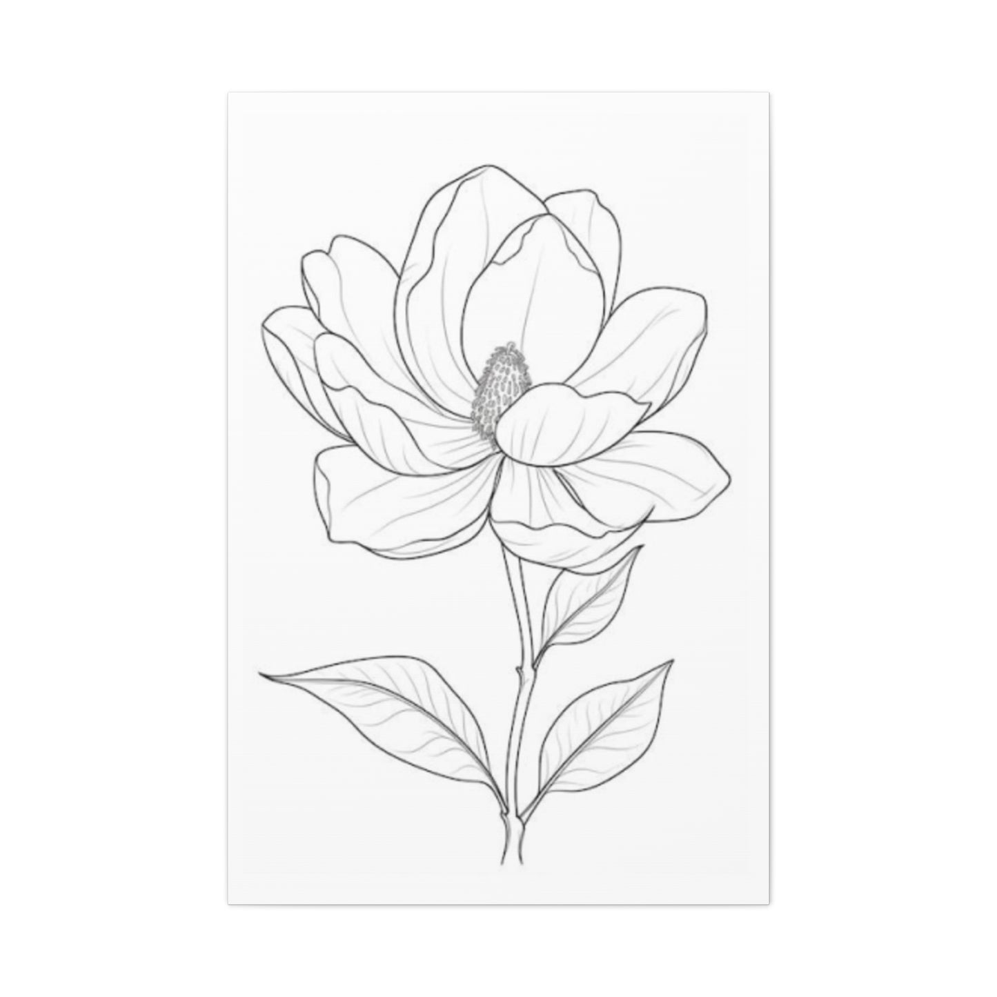 Beautiful Magnolia Flower Sketch Wall Art & Canvas Prints