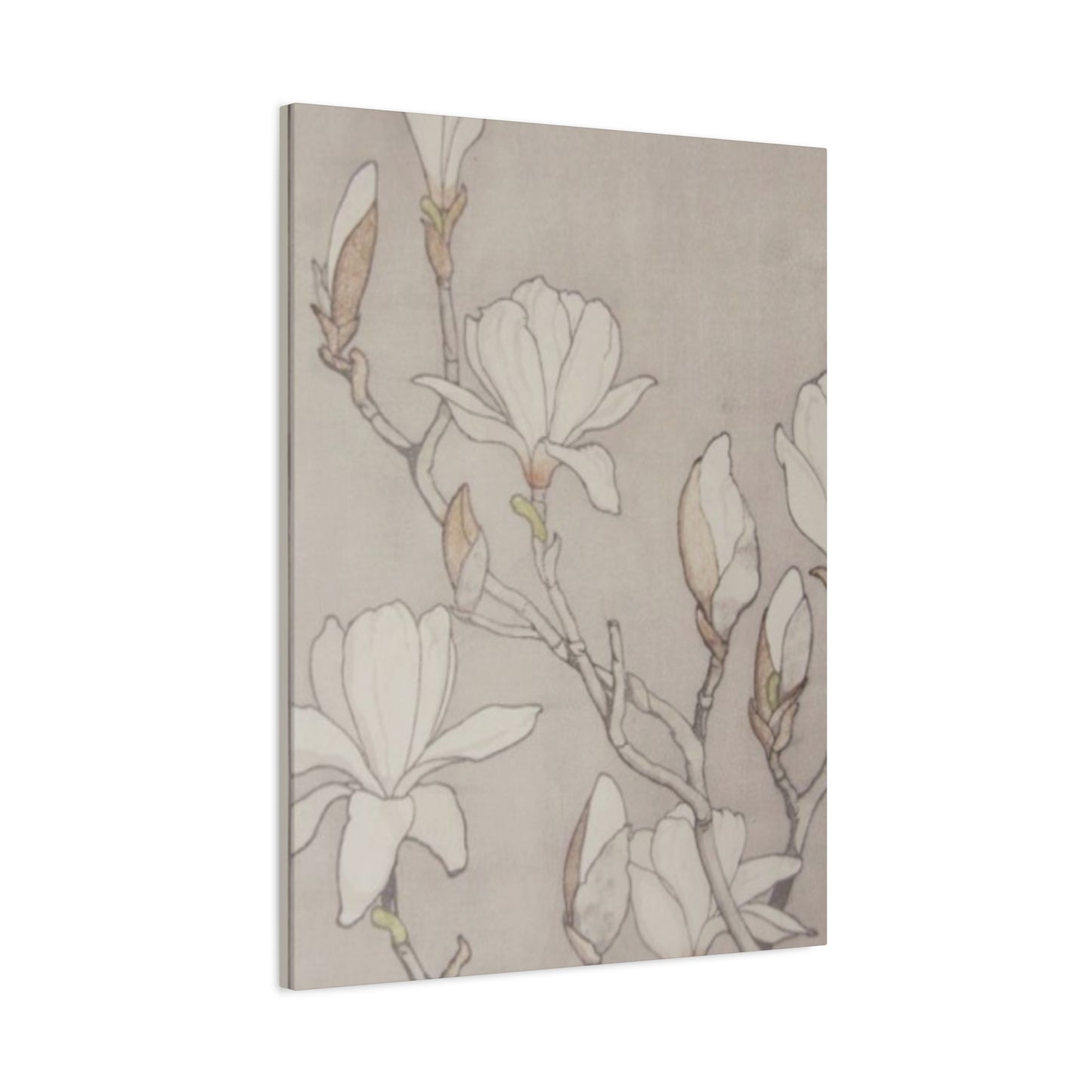 Beautiful Vintage Magnolia Flower Painting Wall Art & Canvas Prints