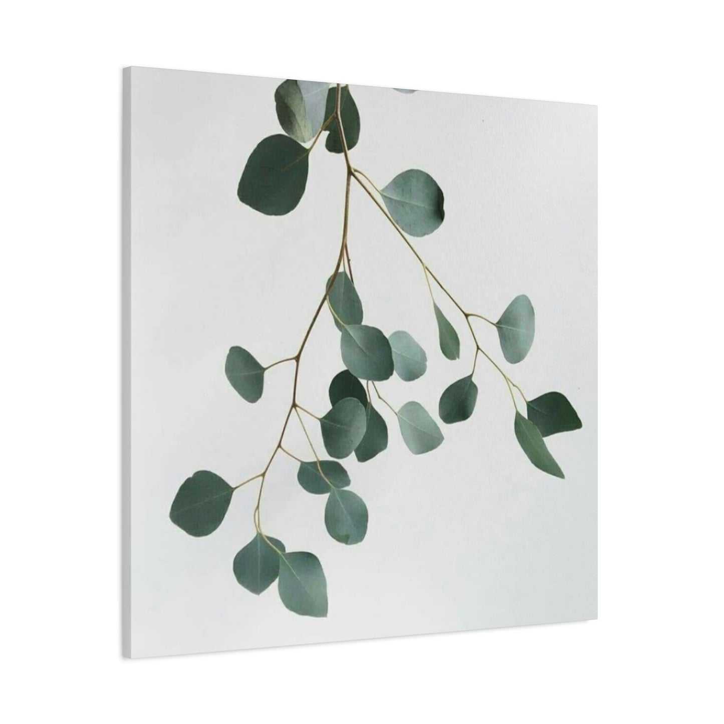 Falling Eucalyptus Plant Wall Art & Canvas Prints