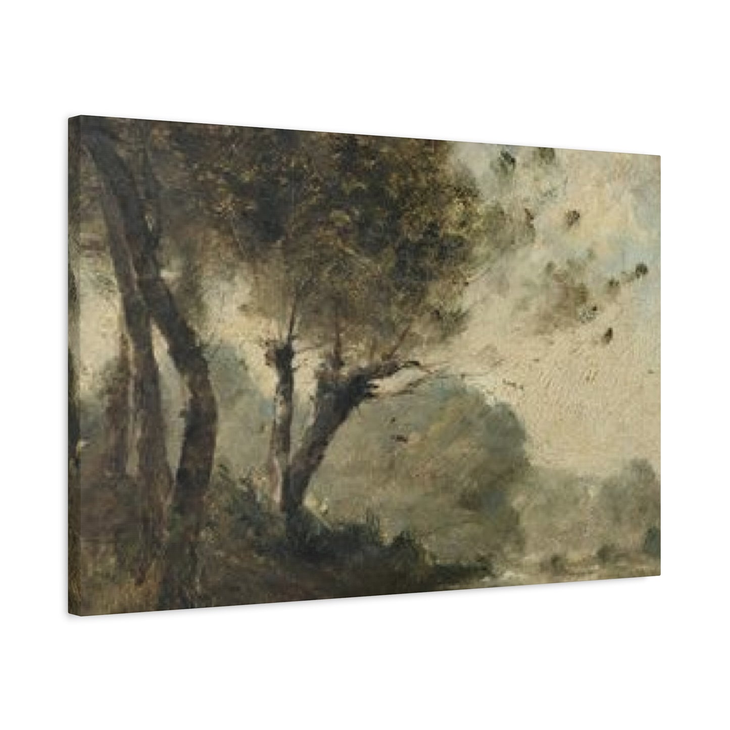 Fine Tree Wall Art & Canvas Prints