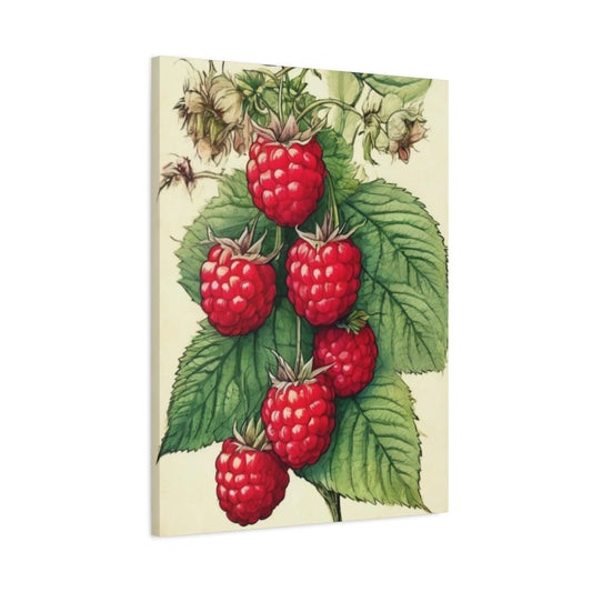 Strawberry Wall Art & Canvas Prints