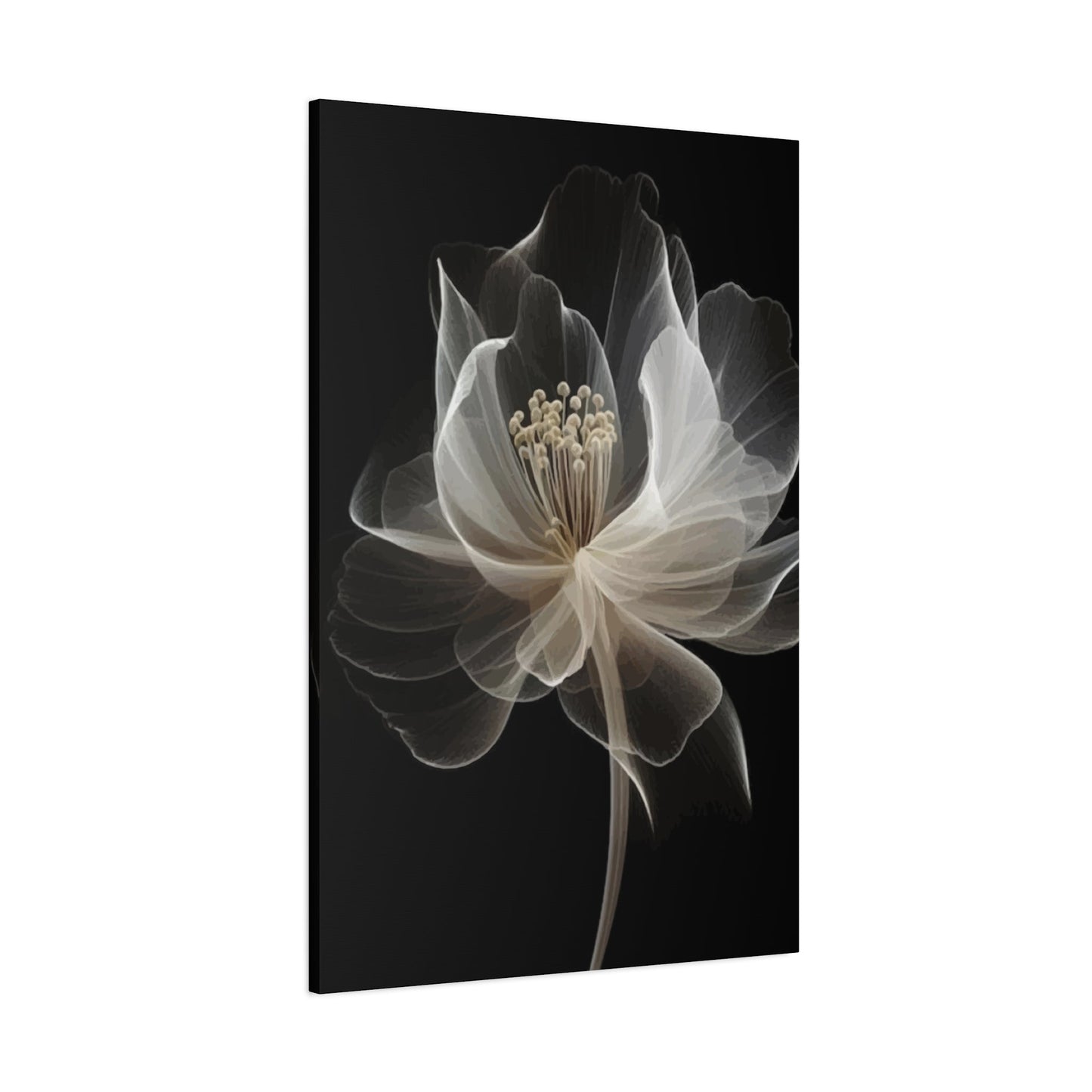 White flower Wall Art & Canvas Prints