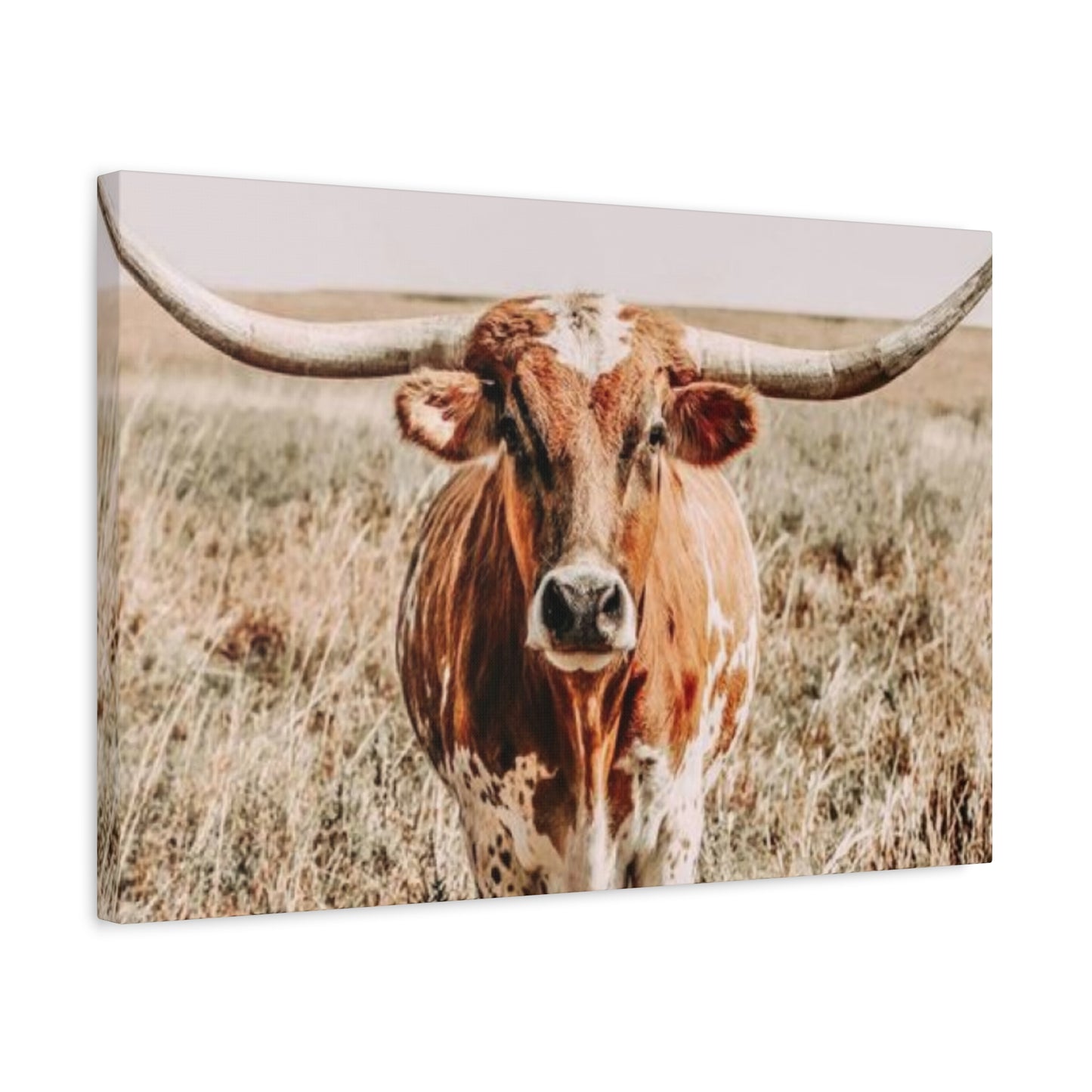 Buffalo Long Horn Wall Art & Canvas Prints