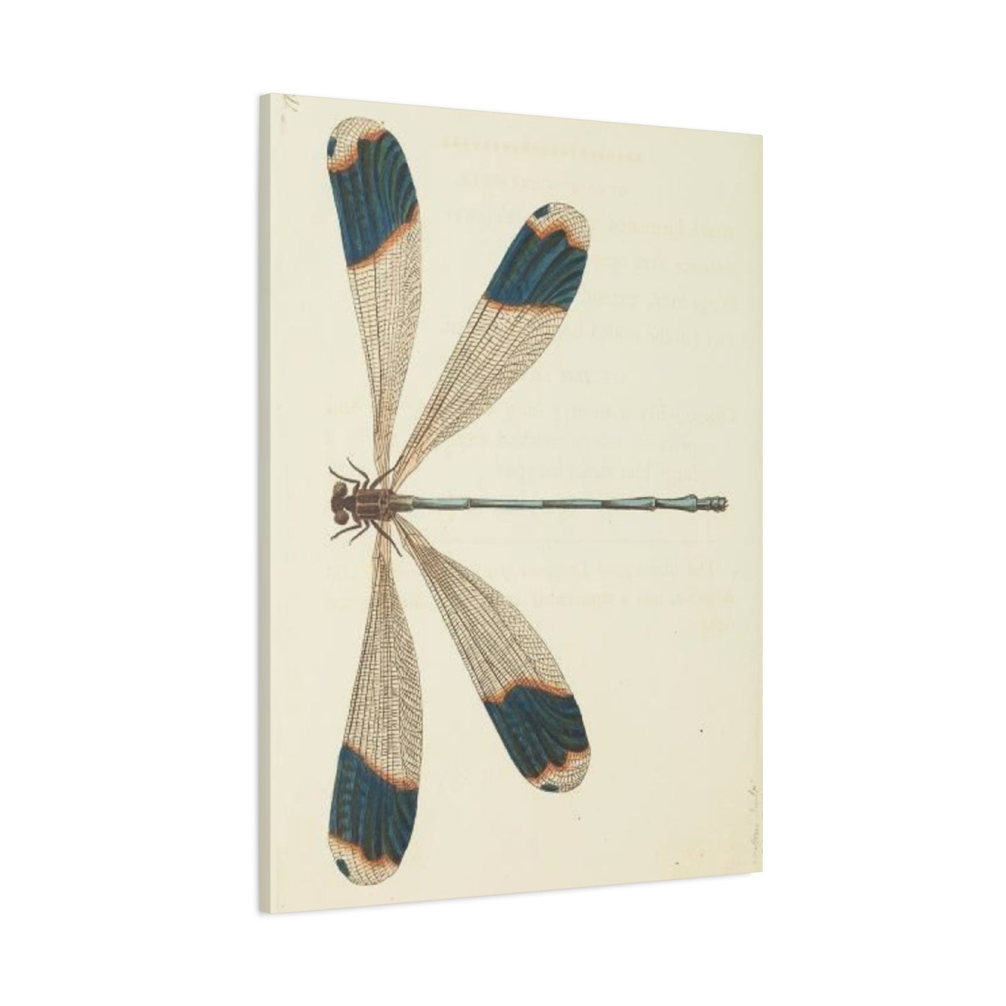 Earthy Blue Dragonfly Wall Art & Canvas Prints