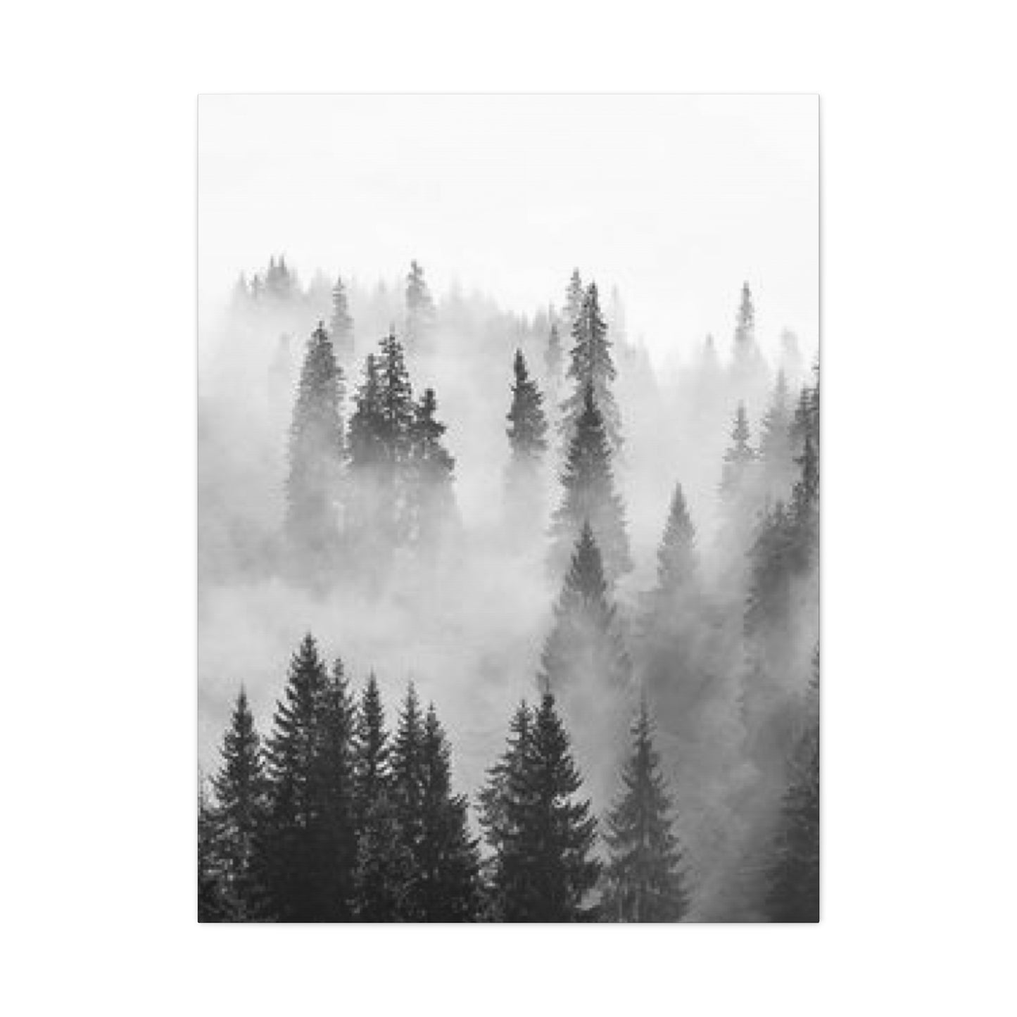 Black & White Fog Forest Fine Wall Art & Canvas Prints