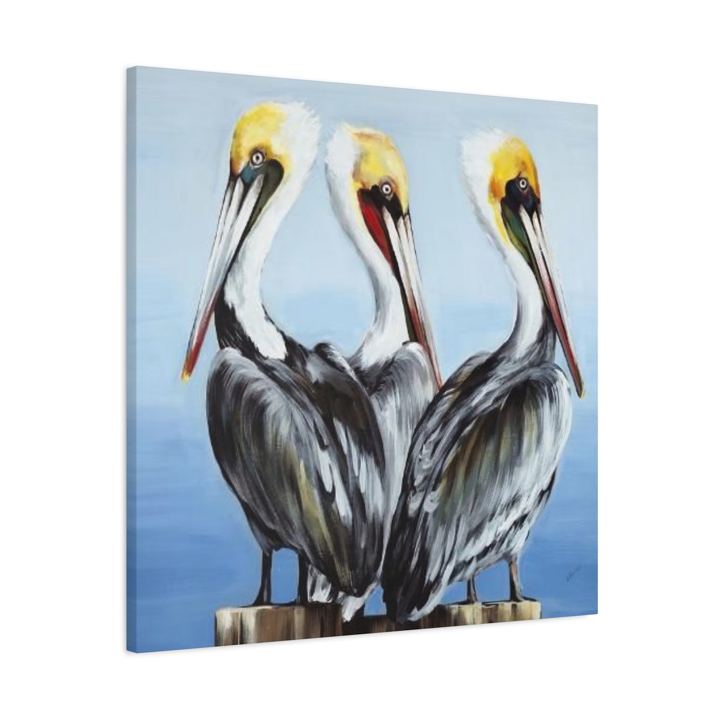 Three Pelican Family Poster Wall Art & Canvas Prints