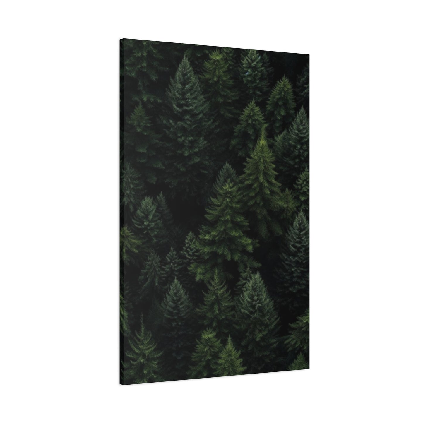 Tropical Pine Forest Wall Art & Canvas Prints