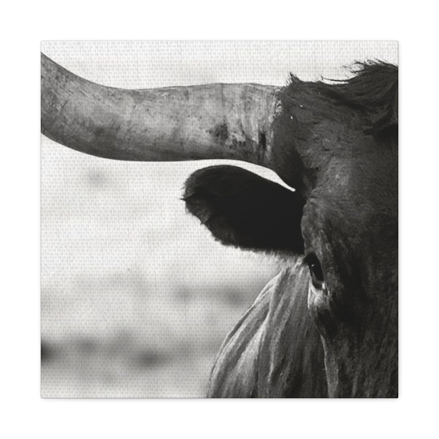 Close Up Of Long Horn Wall Art & Canvas Prints