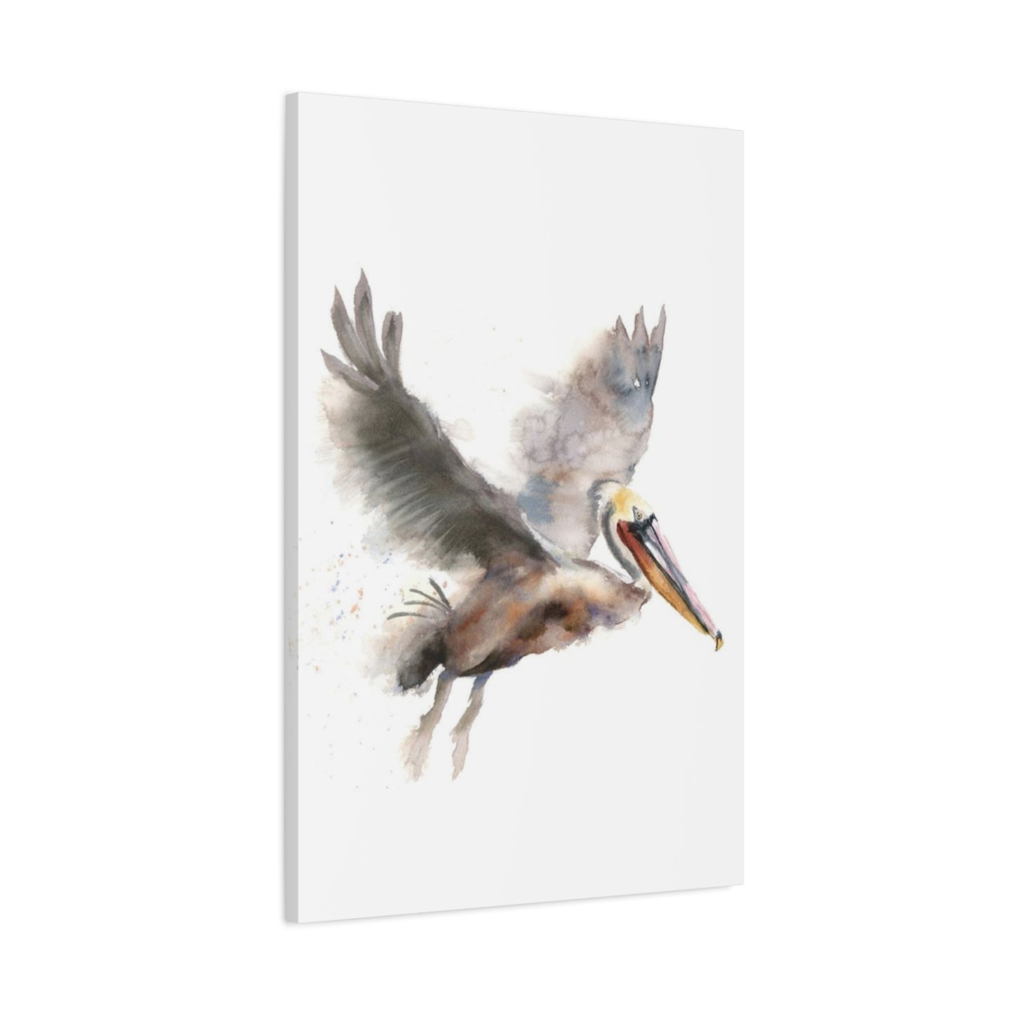 Flying Pelican Painting Wall Art & Canvas Prints