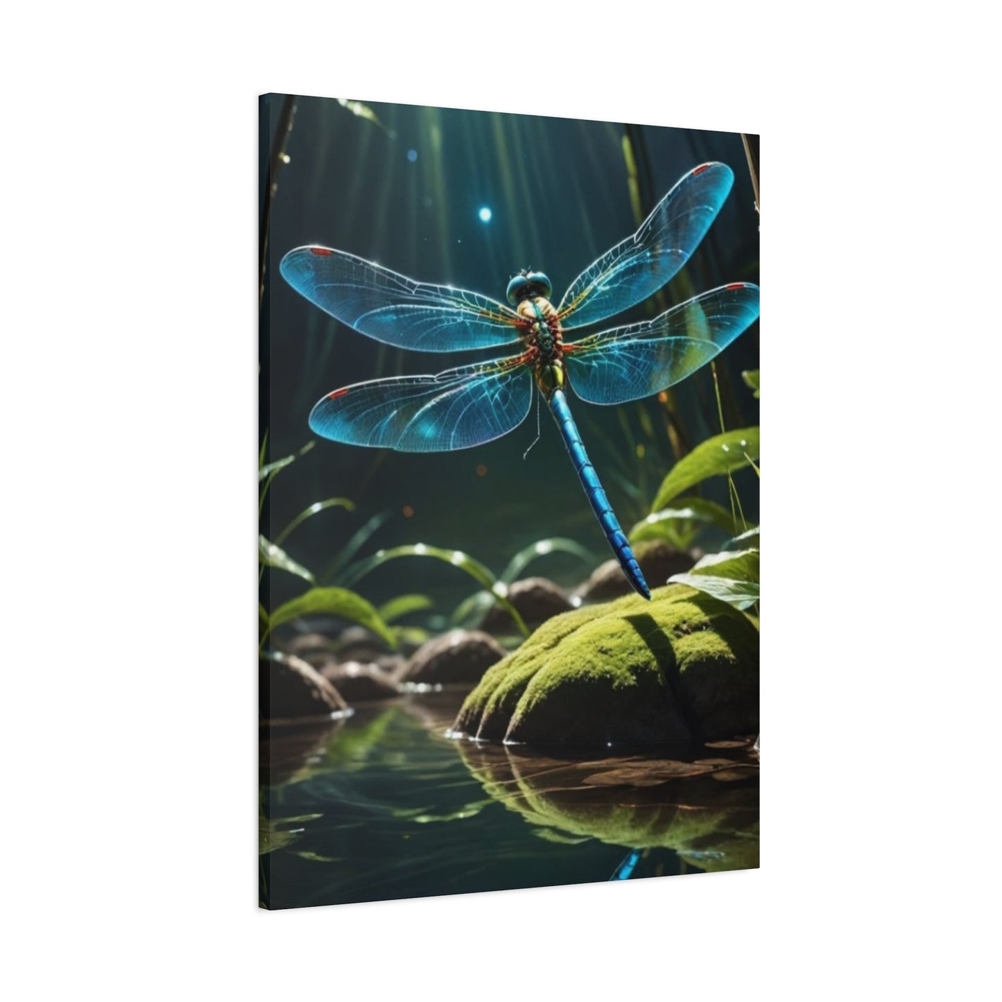 Colorful Dragonfly Wings Wall Art & Canvas Prints