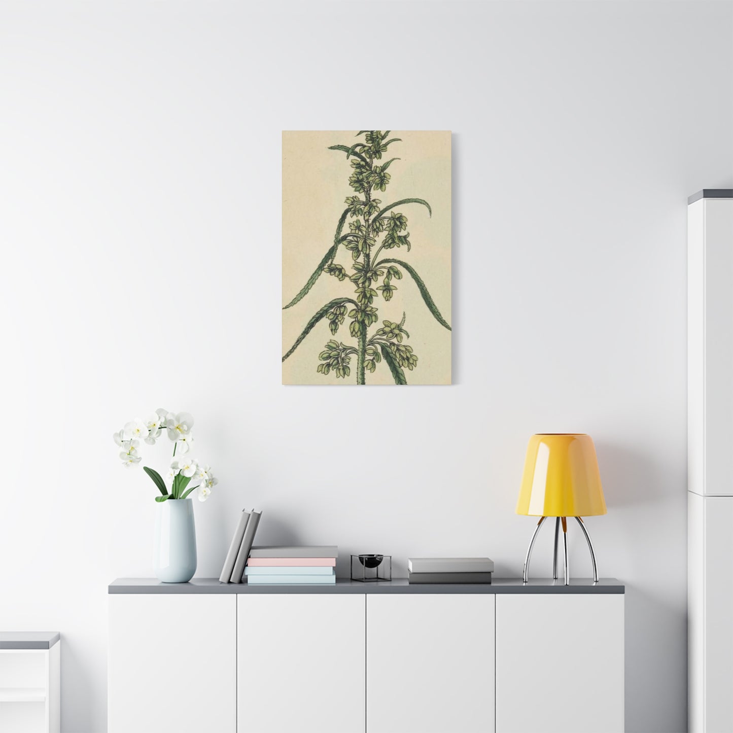 Plant Of Marijuana Wall Art & Canvas Prints