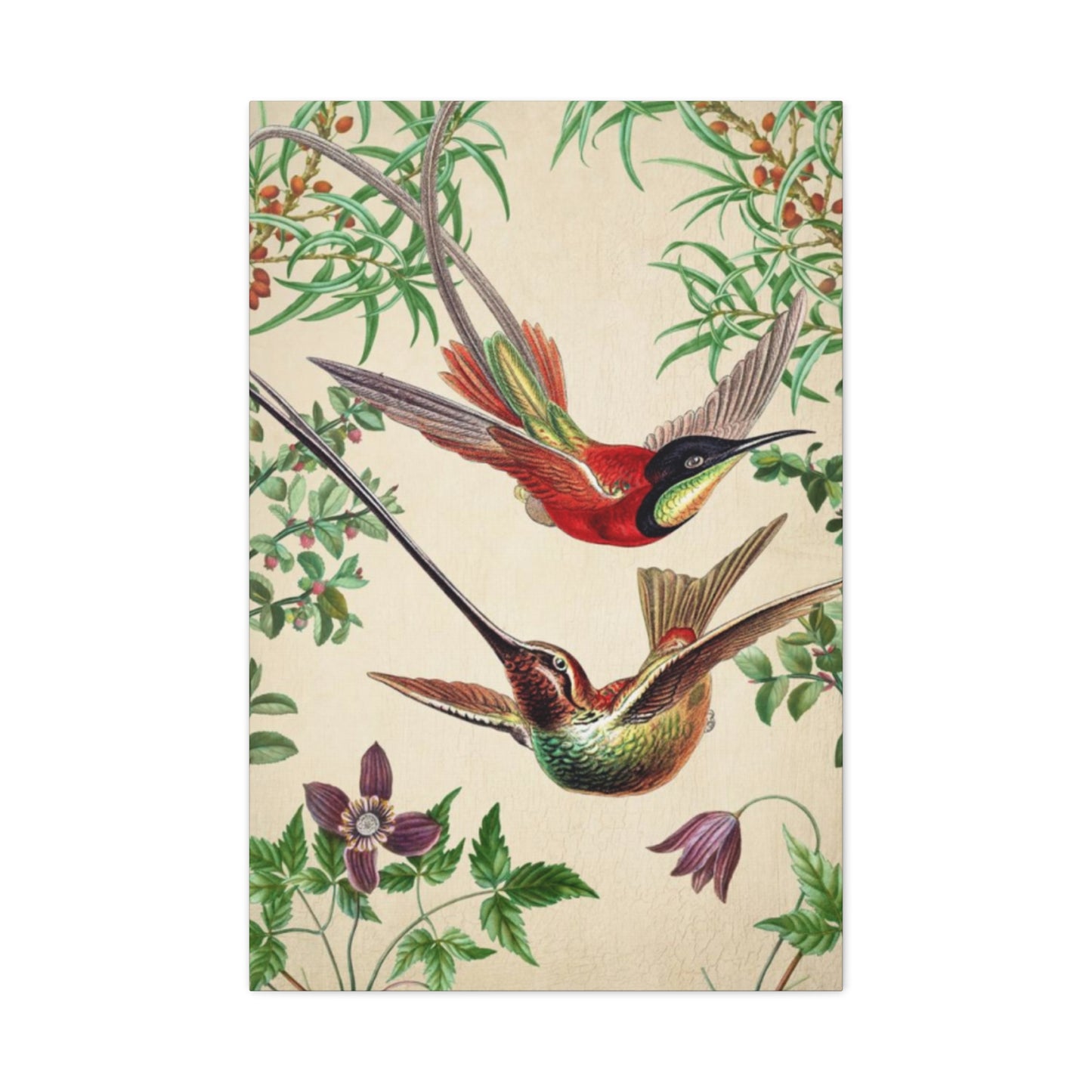 Humming Bird Couple Candid Painting Wall Art & Canvas Prints