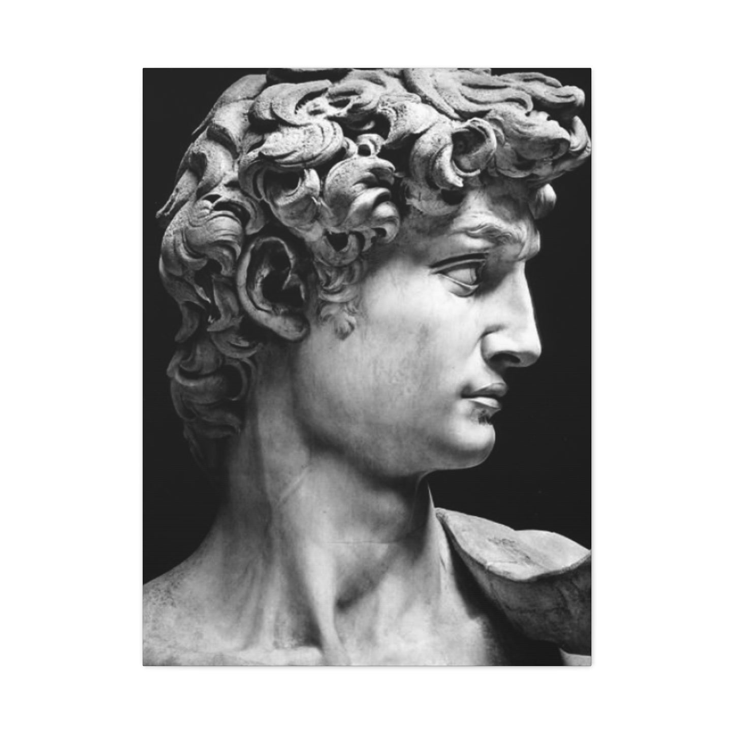 Sculpture If David Oil Painting Modernism Wall Art & Canvas Prints