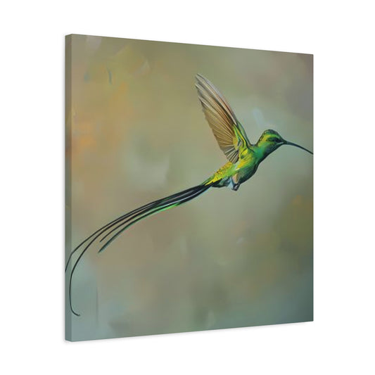 Long Tail Humming Bird Painting Wall Art & Canvas Prints