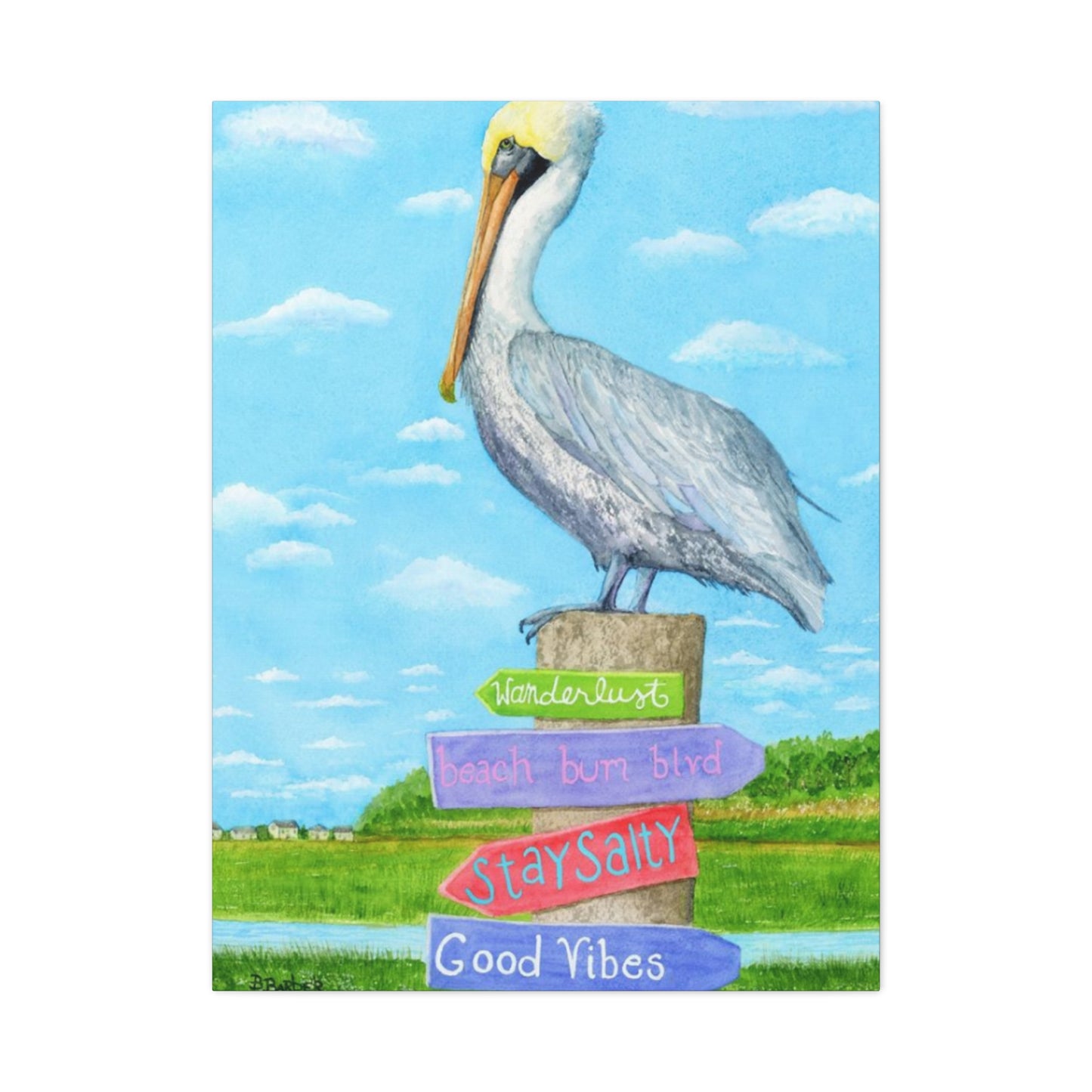 Long Beak Pelican Colorful Drawing Wall Art & Canvas Prints