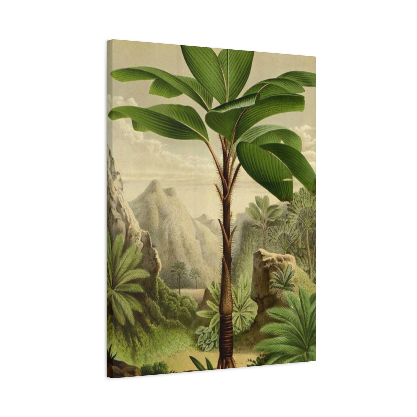 Palm Tree In The Forest Wall Art & Canvas Prints